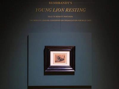 Young Lion Resting de Rembrandt se subasta por 17,8 millones