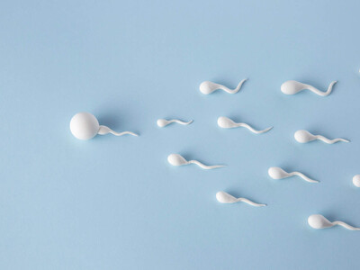 Factores ambientales son determinantes en la calidad del semen
